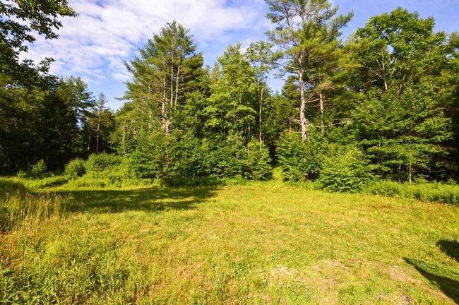 LOT-3 - 00 Vt Route 103 N, Home with 0 bedrooms, 0 bathrooms and null parking in Chester VT | Image 5