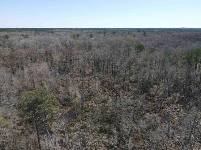 00 Highway 278 Highway, Home with 0 bedrooms, 0 bathrooms and null parking in Rosston AR | Image 7