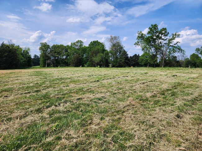 0 Wl White Ln, Home with 0 bedrooms, 0 bathrooms and null parking in Red Boiling Springs TN | Image 6