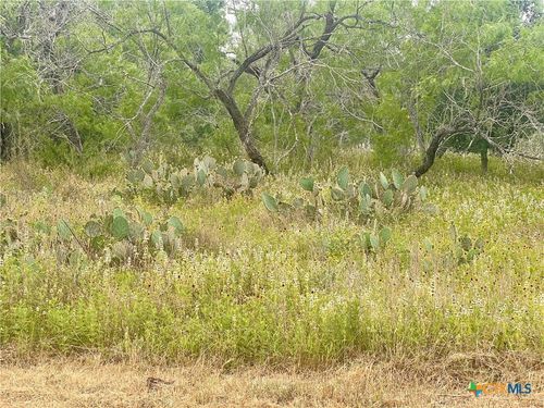 Lot 14 Wisteria Lane, Smiley, TX, 78159 | Card Image