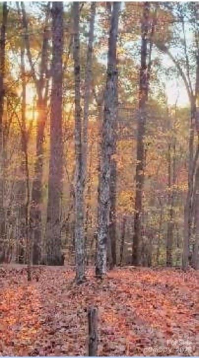 Land in Marion
