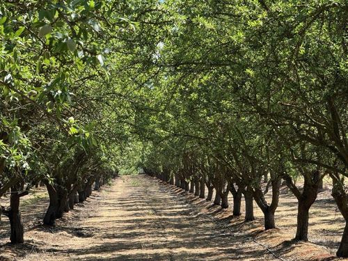 1 Buchanan Hollow Rd, Le Grand, CA, 95333 | Card Image