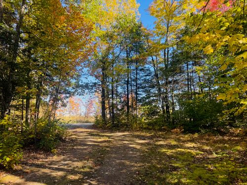 258 Frenchville Road, Patten, ME, 04765 | Card Image