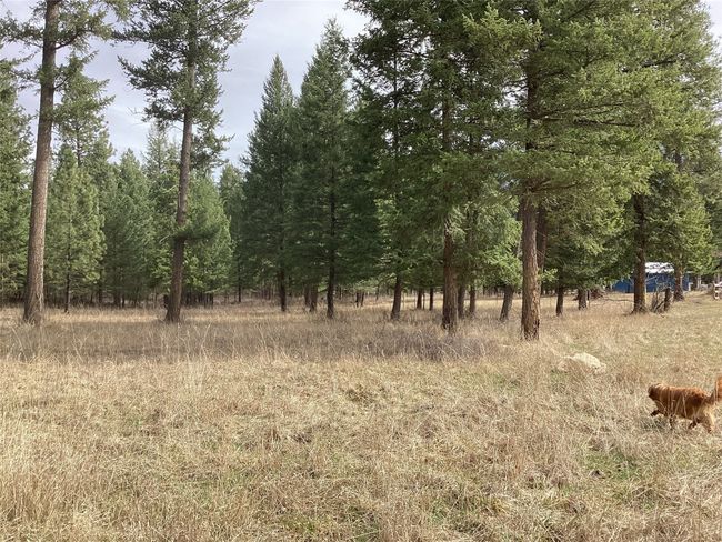 1 Eagle Pass Road, Home with 0 bedrooms, 0 bathrooms and null parking in Charlo MT | Image 20