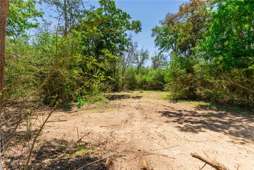 224 Pine Valley Drive, Paige, TX, 78659 | Card Image