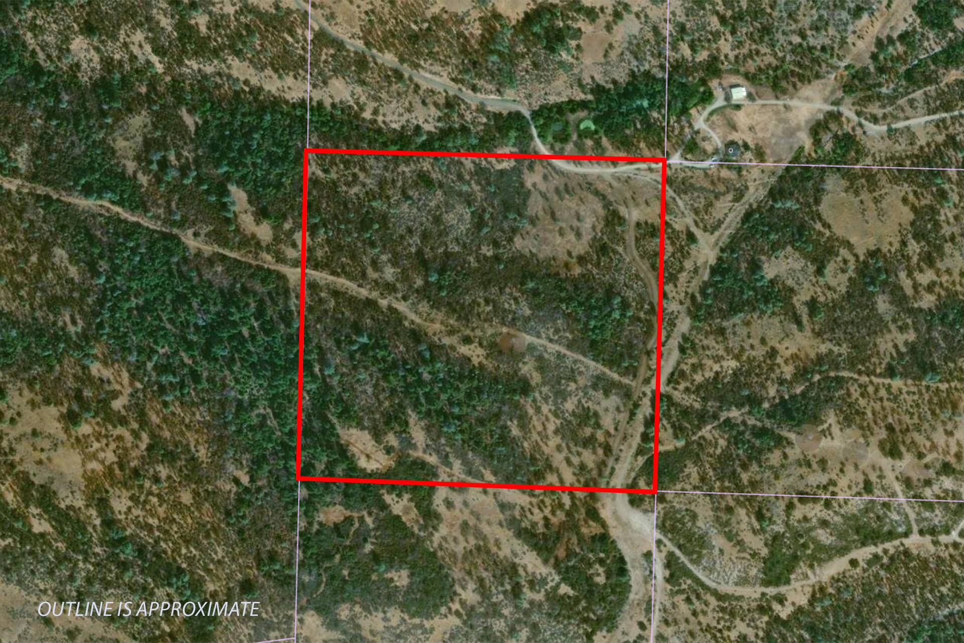 Land in Shingletown 3