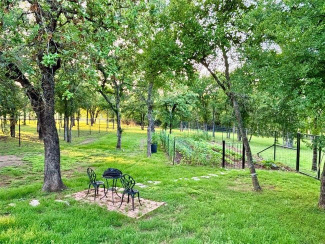 Path to manicured garden | Image 36