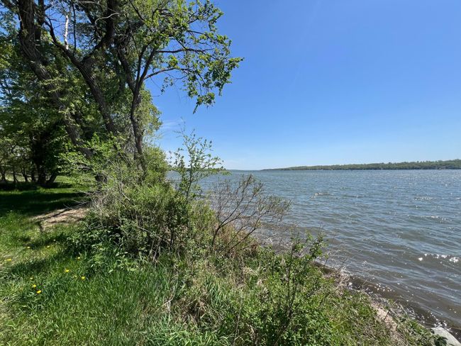 Shore View - SW Towards Lake | Image 7