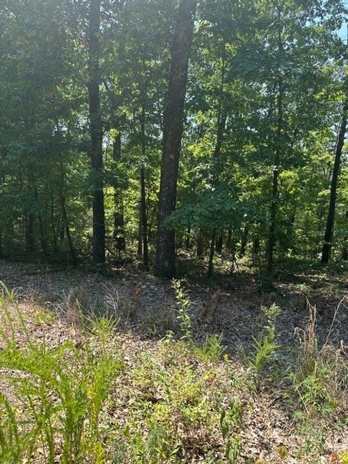 TBD Glemsford Dr, Bella Vista, AR, 72714 | Card Image