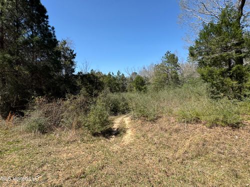 0 Conner Dr, Perkinston, MS, 39573 | Card Image