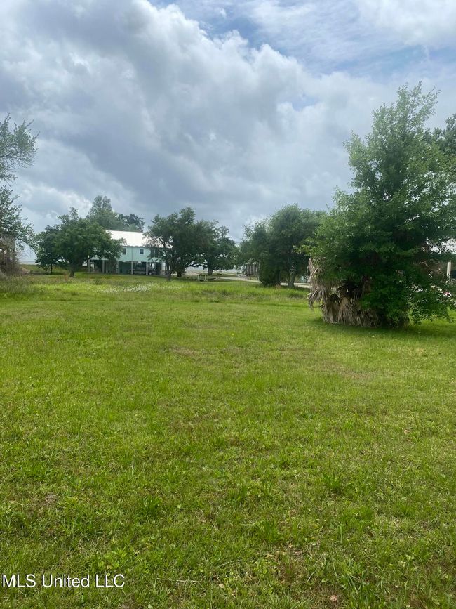 4 | Image 14