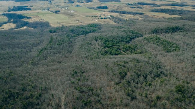McMillan pic 4 | Image 12