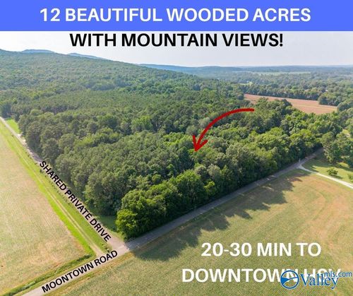 PPin#507136 Moontown Rd, Brownsboro, AL, 35741 | Card Image