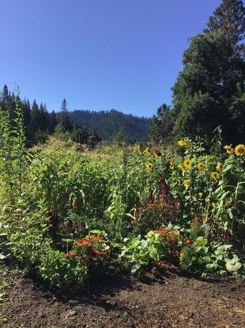 200 Humphrey Addition Rd, Glendale, OR, 97442-9757 | Card Image