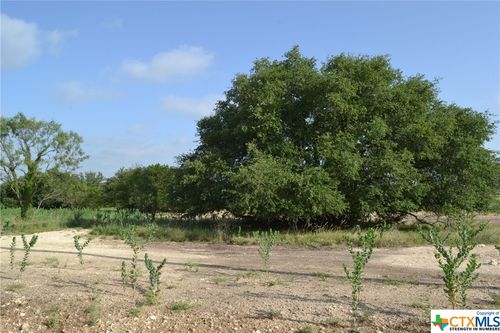 Block 2, Lot 1 and Lot 2 Cr 3152, Kempner, TX, 76539 | Card Image