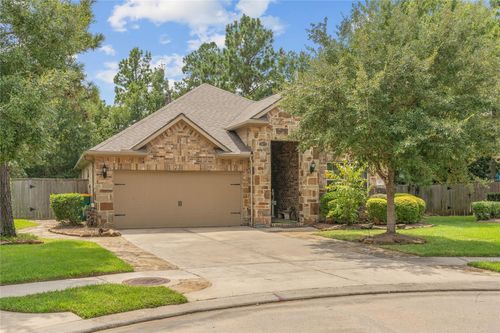 149 Bellardia Ct, Montgomery, TX, 77316-1549 | Card Image