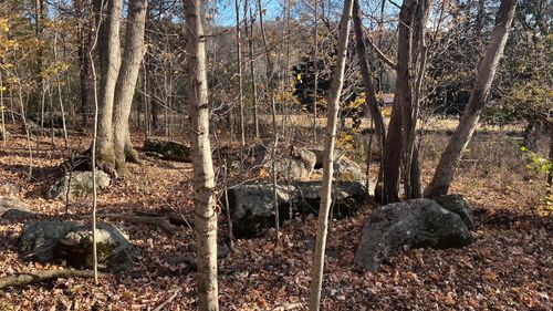 1 Adams Rd, Watertown, TN, 37184-3764 | Card Image