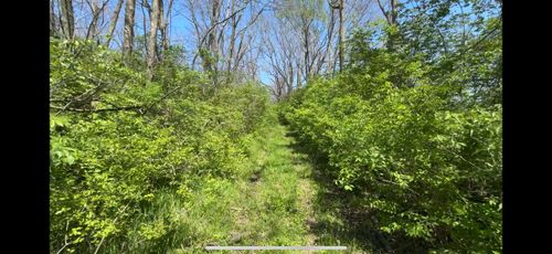 8154 Crowl Rd, De Graff, OH, 43318-9537 | Card Image