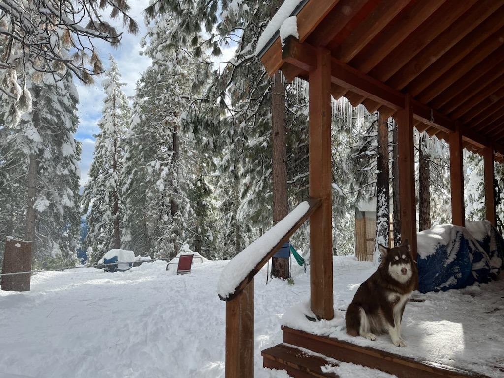 Land in Nevada City 3
