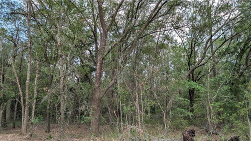 TBD Ne 108th Pl, Waldo, FL, 32694 | Card Image