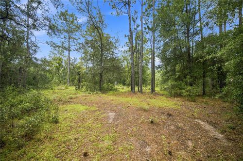 21350 Se 66th St, MORRISTON, FL, 32668-5501 | Card Image