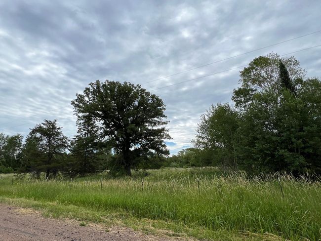 Meadow | Image 32