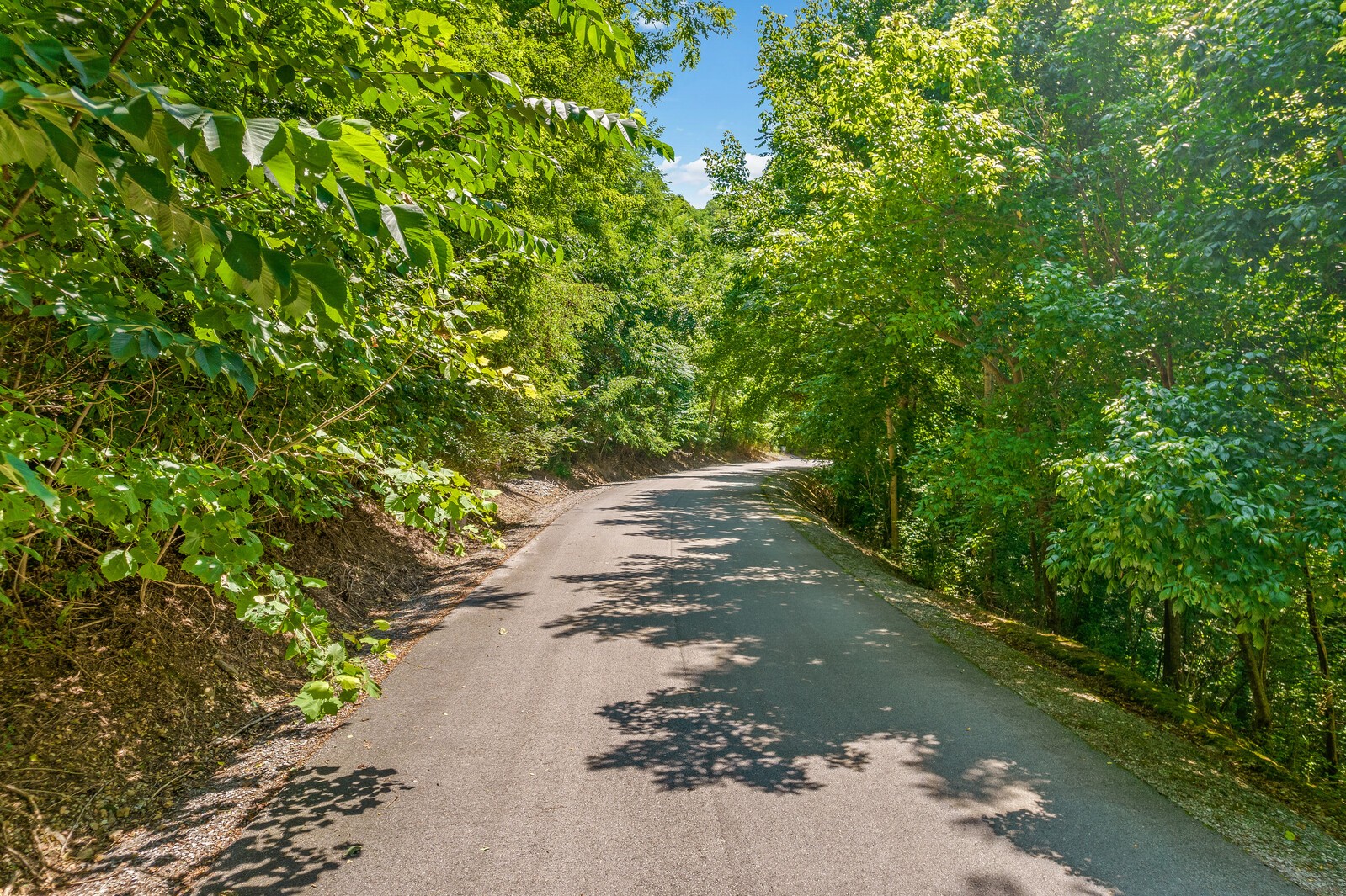 Land in Smithville 3