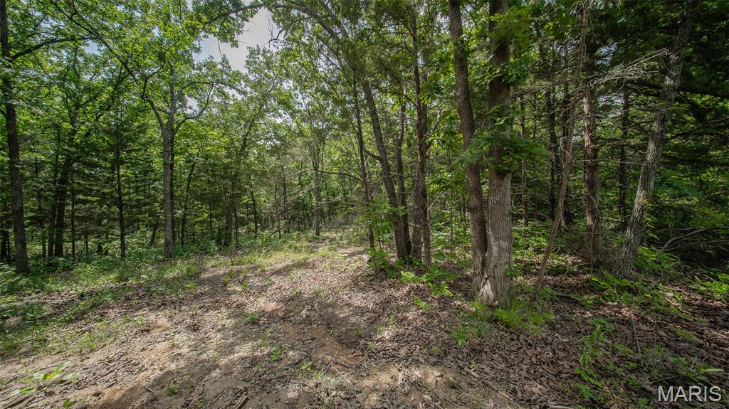 Land in Rolla 5