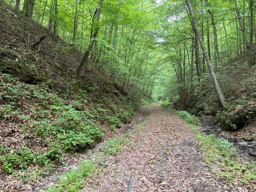 Tbd Highway 66 S, Rogersville, TN, 37857 | Card Image