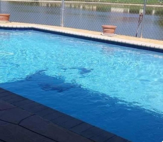 2661 Forest Dr, House other with 4 bedrooms, 2 bathrooms and null parking in Miramar FL | Image 12