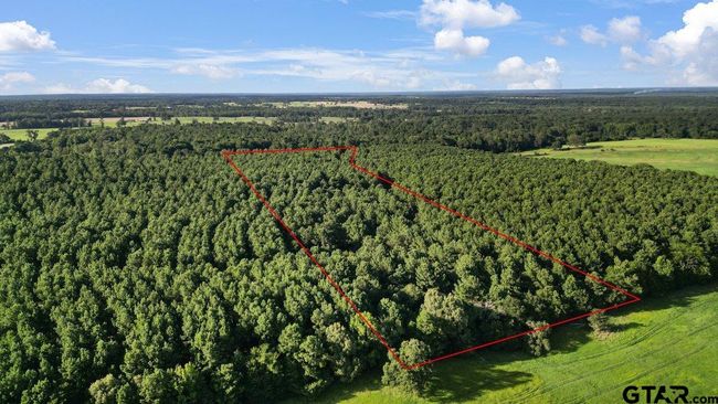 TBD 17.57 ACRES Fm 2274, Home with 1 bedrooms, 1 bathrooms and null parking in Troup TX | Image 24