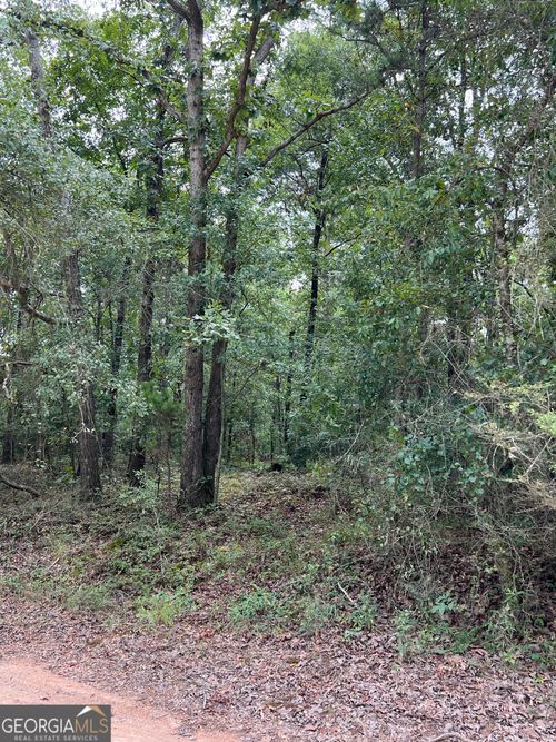 TRACT #3 Lake Deerfield Rd, Hull, GA, 30646-1531 | Card Image