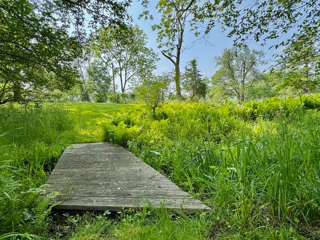 2277 W Huron River Dr, House other with 3 bedrooms, 2 bathrooms and null parking in Ann Arbor MI | Image 49