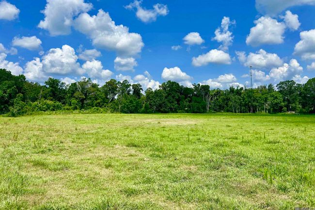 02 Carrier Rd, Home with 0 bedrooms, 0 bathrooms and null parking in Pine Grove LA | Image 7