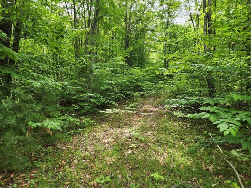 10 Acres Blue Lake Road, Ne, Blue Lake Township, MI, 49646 | Card Image