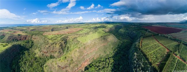 20-C - 64-486 Kamehameha Hwy, Home with 0 bedrooms, 0 bathrooms and null parking in Haleiwa HI | Image 10