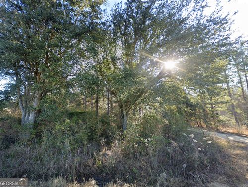 0 Lambert Lane, Sylvester, GA, 31791 | Card Image