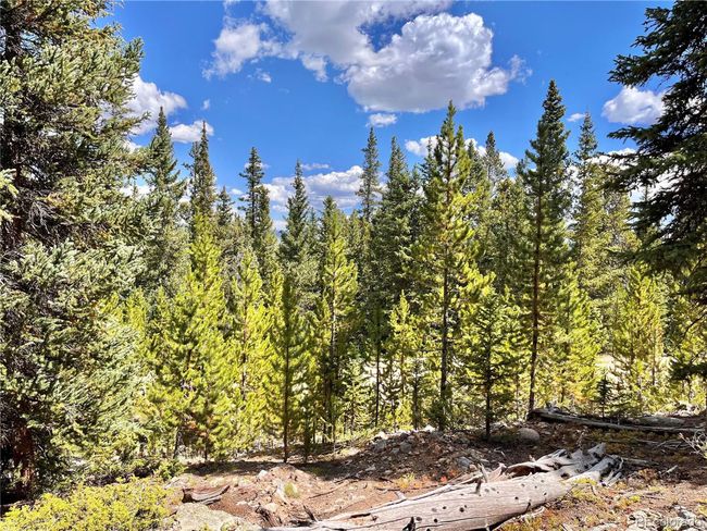 676 Dry Gulch Rd, Home with 0 bedrooms, 0 bathrooms and null parking in Fairplay CO | Image 4