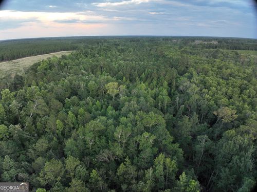 0 S Old Reidsville Rd, Twin City, GA, 30471 | Card Image