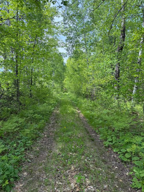TBD Range Line Rd, Kerrick, MN, 55756 | Card Image