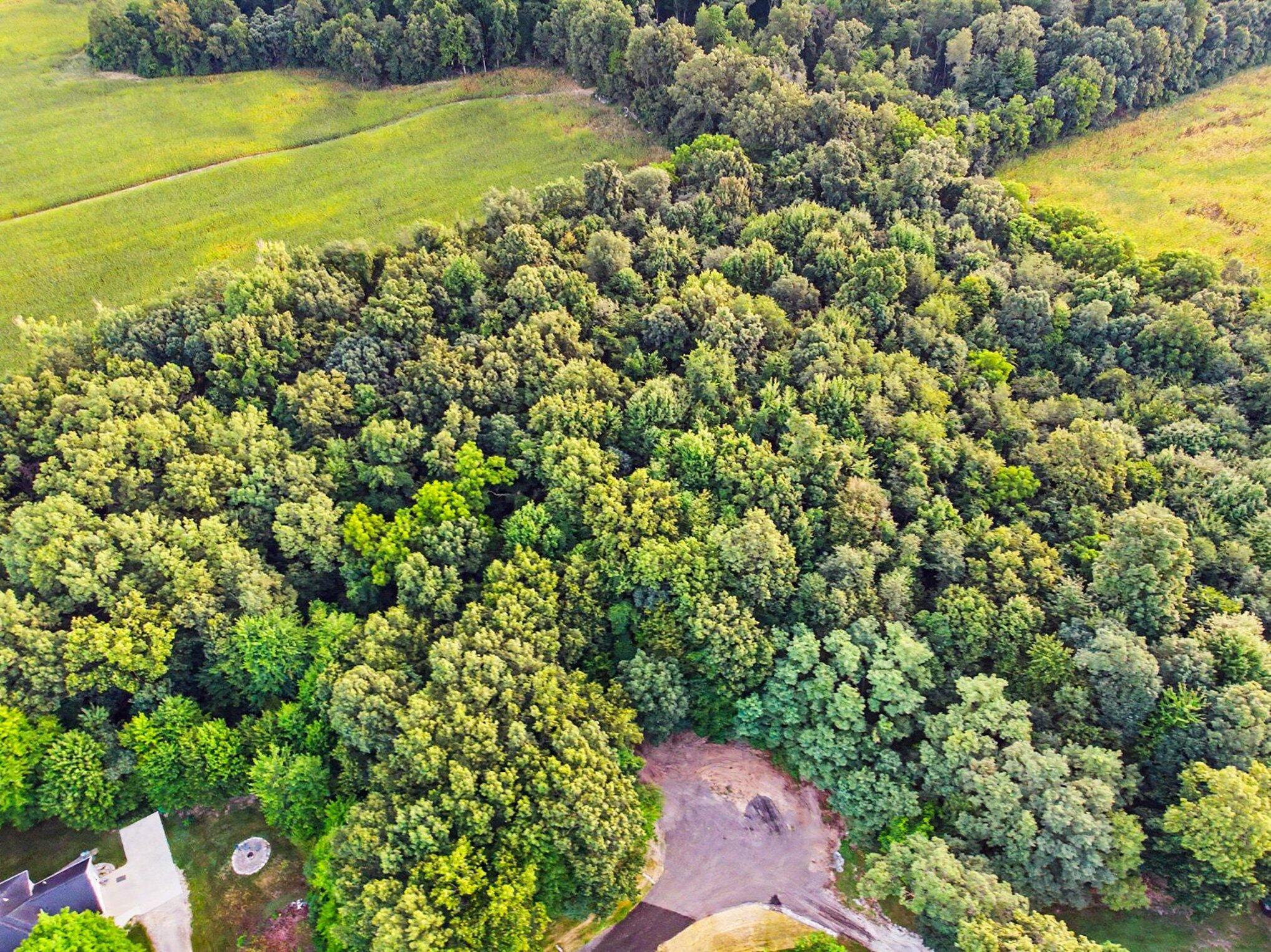 Land in Niles 3