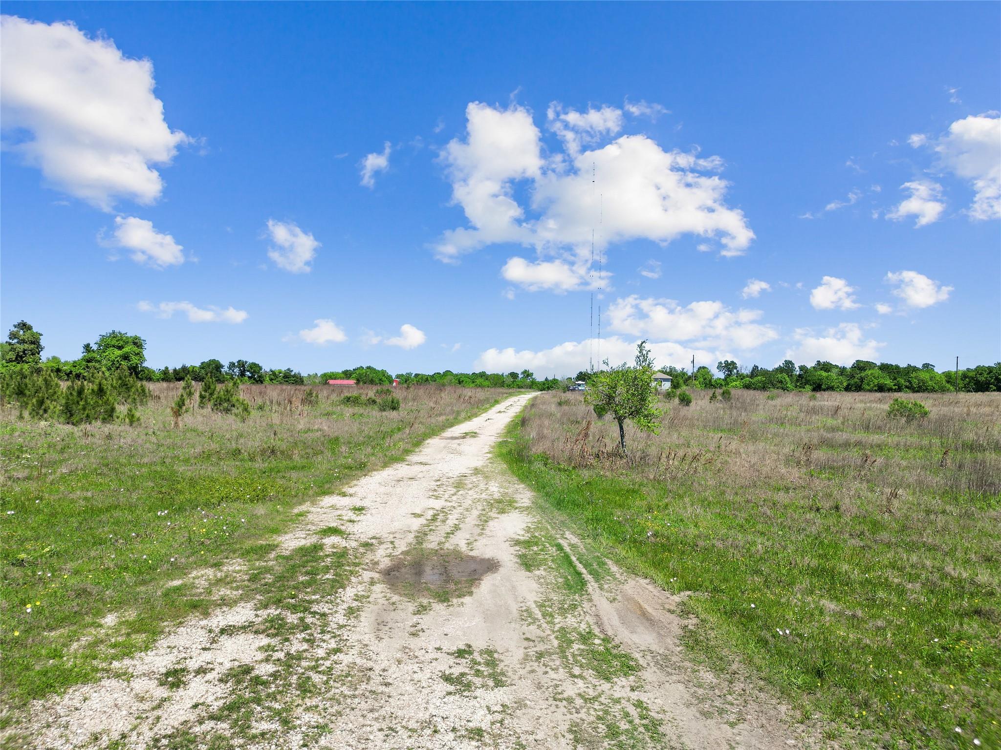 Farm in Willis 5