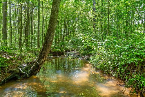 Lot 454 Woodward Way, Talking Rock, GA, 30175 | Card Image