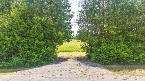lot-5-N/A Old Norwood Rd, Havelock, ON, K0L1Z0 | Card Image