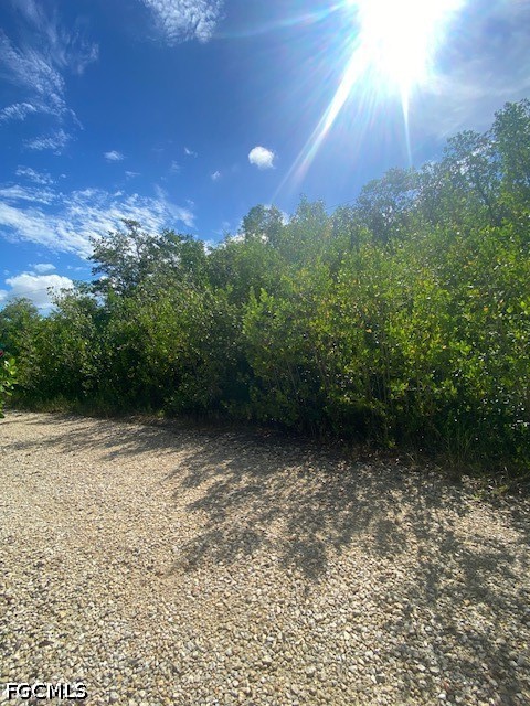 Land in Everglades City 4