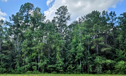 157 Rock Ranch Drive, New Waverly, TX, 77358 | Card Image