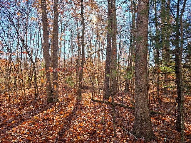 101 Chantry Ln, Home with 0 bedrooms, 0 bathrooms and null parking in Daniels WV | Image 6