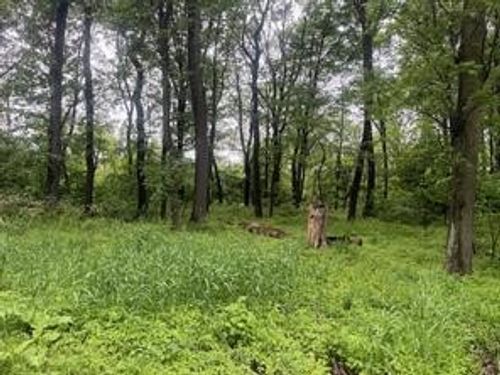 89 Laurel Summit Road, Jenner Twp, PA, 15531 | Card Image