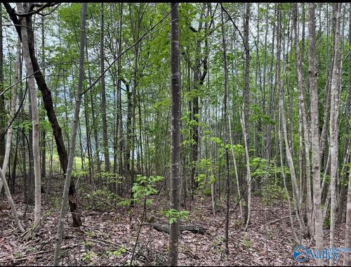 3 +/- Brushy Creek Pointe, Arley, AL, 35541 | Card Image