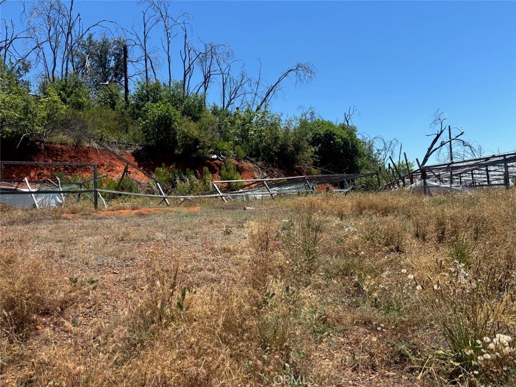 Land in Berry Creek 4
